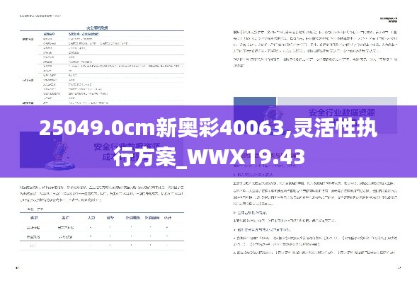 25049.0cm新奥彩40063,灵活性执行方案_WWX19.43