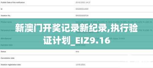 新澳门开奖记录新纪录,执行验证计划_EIZ9.16