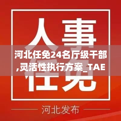 河北任免24名厅级干部,灵活性执行方案_TAE19.89