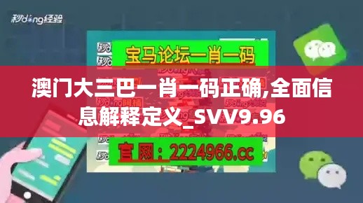 澳门大三巴一肖一码正确,全面信息解释定义_SVV9.96