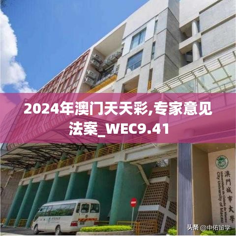 2024年澳门天天彩,专家意见法案_WEC9.41