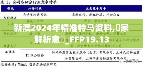 新澳2024年精准特马资料,專家解析意見_FFP19.13