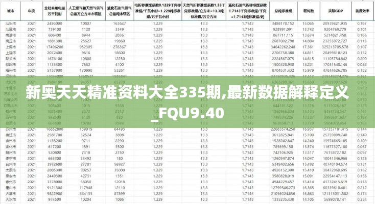 新奥天天精准资料大全335期,最新数据解释定义_FQU9.40