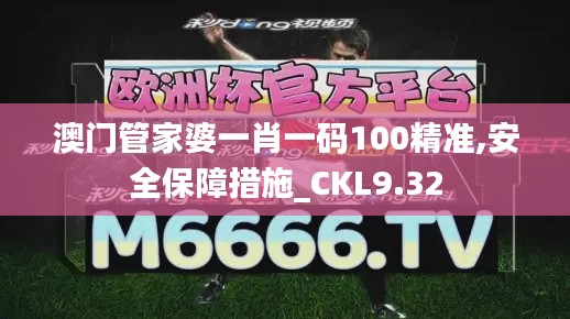 澳门管家婆一肖一码100精准,安全保障措施_CKL9.32