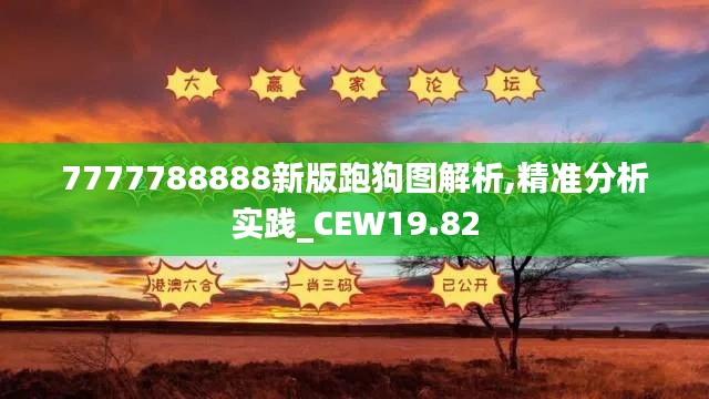 7777788888新版跑狗图解析,精准分析实践_CEW19.82