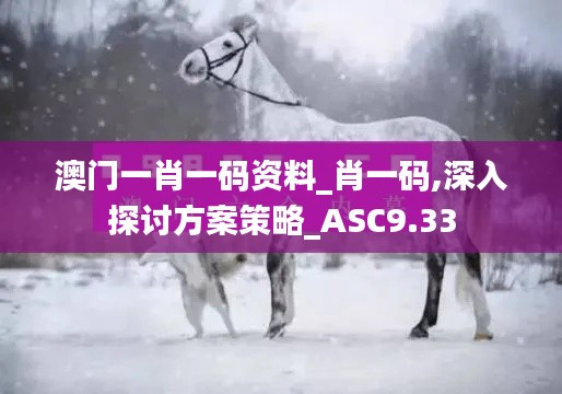 澳门一肖一码资料_肖一码,深入探讨方案策略_ASC9.33