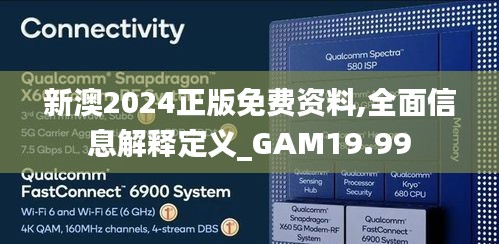 新澳2024正版免费资料,全面信息解释定义_GAM19.99