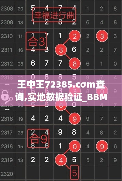 王中王72385.cσm查询,实地数据验证_BBM9.79