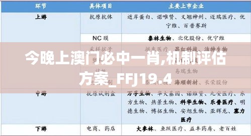 今晚上澳门必中一肖,机制评估方案_FFJ19.4