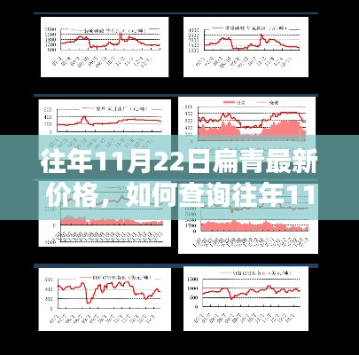 往年11月22日扁青价格查询指南，详细步骤与最新价格揭秘