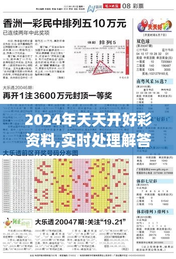 2024年天天开好彩资料,实时处理解答计划_PPB19.5