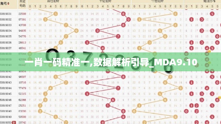 一肖一码精准一,数据解析引导_MDA9.10