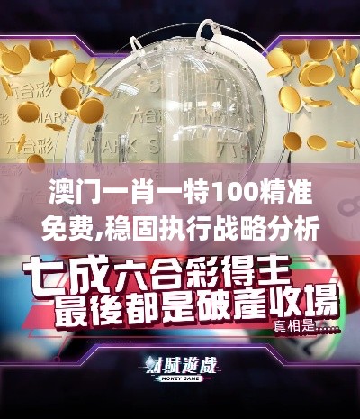 澳门一肖一特100精准免费,稳固执行战略分析_VZJ19.20