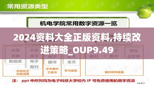 2024资料大全正版资料,持续改进策略_OUP9.49