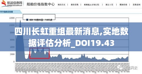 四川长虹重组最新消息,实地数据评估分析_DOI19.43