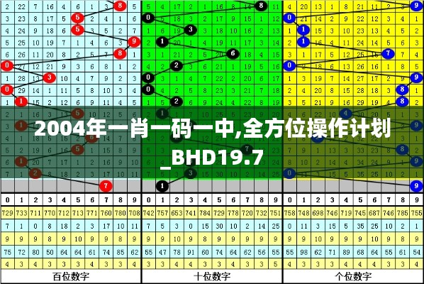 2004年一肖一码一中,全方位操作计划_BHD19.7