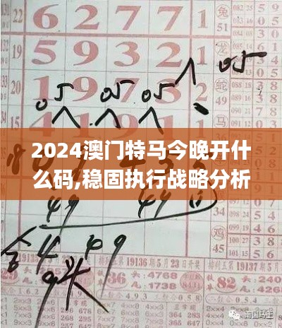 2024澳门特马今晚开什么码,稳固执行战略分析_NYW19.89