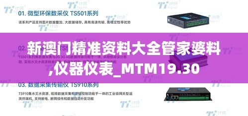 新澳门精准资料大全管家婆料,仪器仪表_MTM19.30