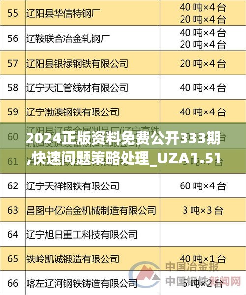 2024正版资料免费公开333期,快速问题策略处理_UZA1.51