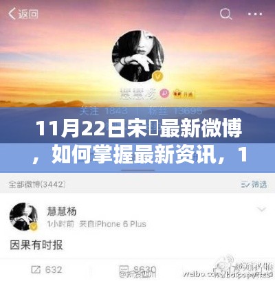 11月22日宋喆最新微博动态全攻略，掌握最新资讯，追踪微博动态