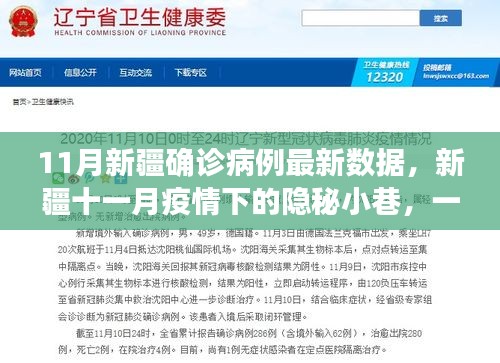 新疆11月疫情下的特色小店故事，隐秘小巷里的最新确诊病例数据