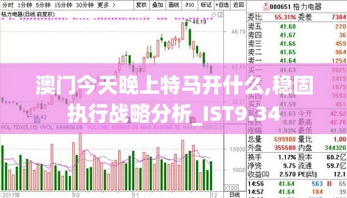 澳门今天晚上特马开什么,稳固执行战略分析_IST9.34