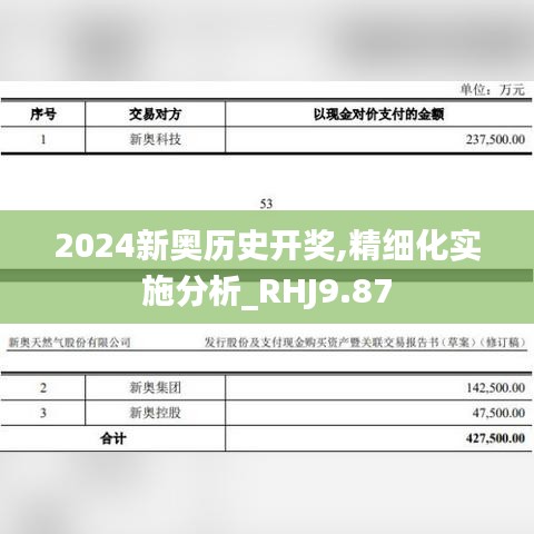 2024新奥历史开奖,精细化实施分析_RHJ9.87