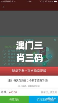 澳门三肖三码精准100%新华字典,科学数据解读分析_ISV19.24