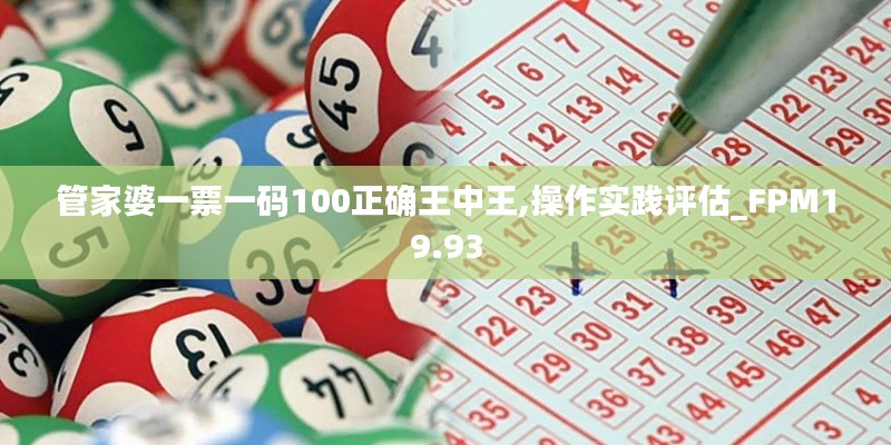 管家婆一票一码100正确王中王,操作实践评估_FPM19.93