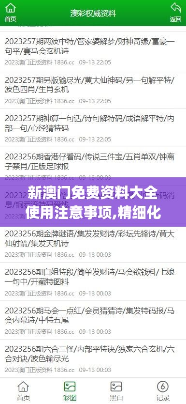 新澳门免费资料大全使用注意事项,精细化实施分析_VUN19.71