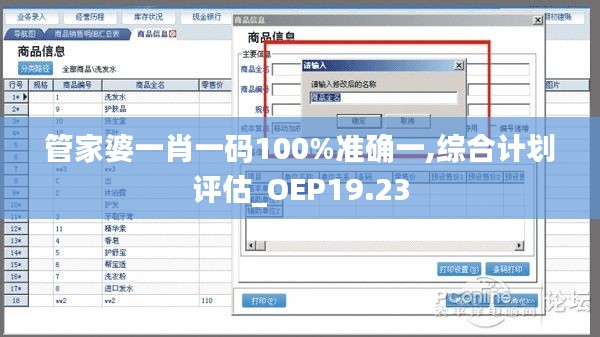 管家婆一肖一码100%准确一,综合计划评估_OEP19.23