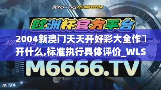 2004新澳门天天开好彩大全作睌开什么,标准执行具体评价_WLS9.37