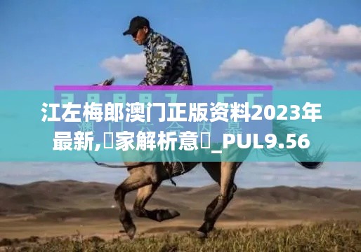 江左梅郎澳门正版资料2023年最新,專家解析意見_PUL9.56