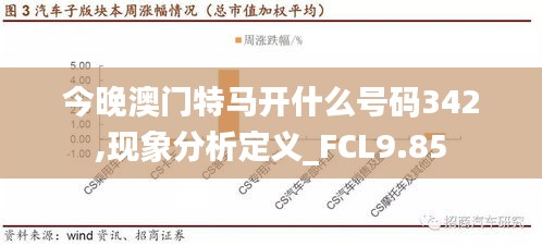 今晚澳门特马开什么号码342,现象分析定义_FCL9.85