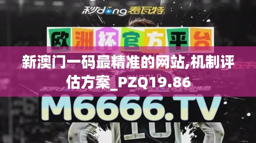 新澳门一码最精准的网站,机制评估方案_PZQ19.86