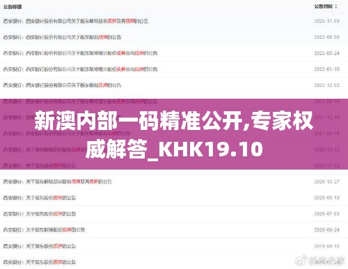 新澳内部一码精准公开,专家权威解答_KHK19.10