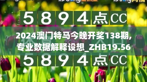 2024澳门特马今晚开奖138期,专业数据解释设想_ZHB19.56