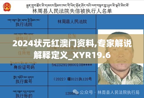 2024状元红澳门资料,专家解说解释定义_XYR19.6