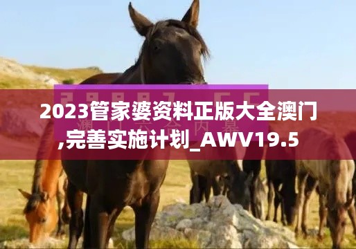 2023管家婆资料正版大全澳门,完善实施计划_AWV19.5