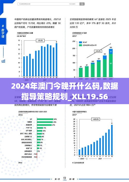 2024年澳门今晚开什么码,数据指导策略规划_XLL19.56