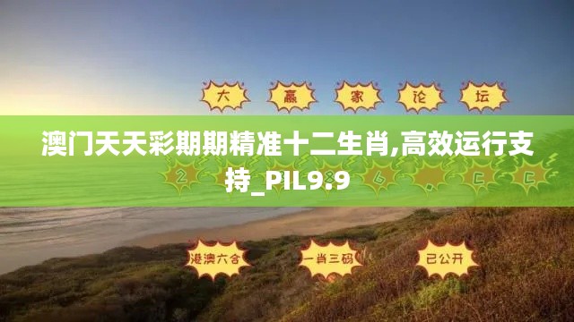 澳门天天彩期期精准十二生肖,高效运行支持_PIL9.9