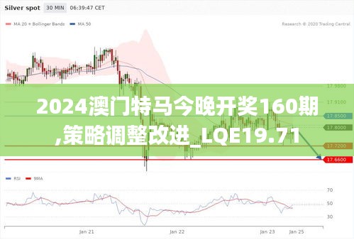 2024澳门特马今晚开奖160期,策略调整改进_LQE19.71