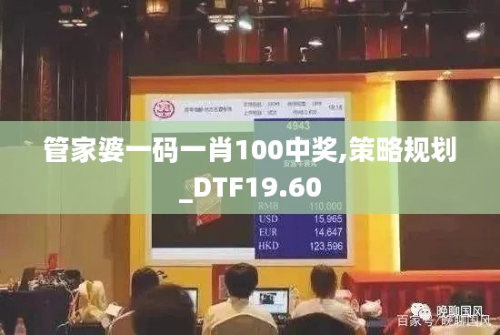 管家婆一码一肖100中奖,策略规划_DTF19.60