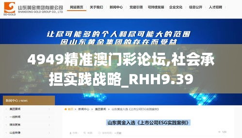 4949精准澳门彩论坛,社会承担实践战略_RHH9.39