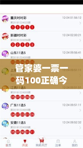 管家婆一票一码100正确今天,精准解答方案详解_CRD19.78