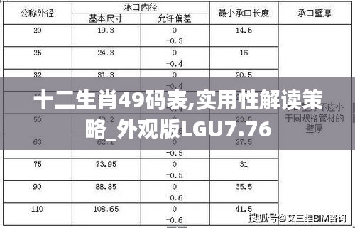 十二生肖49码表,实用性解读策略_外观版LGU7.76