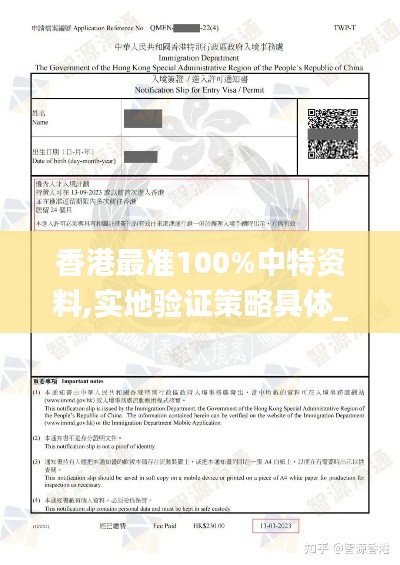 香港最准100%中特资料,实地验证策略具体_RAH9.8