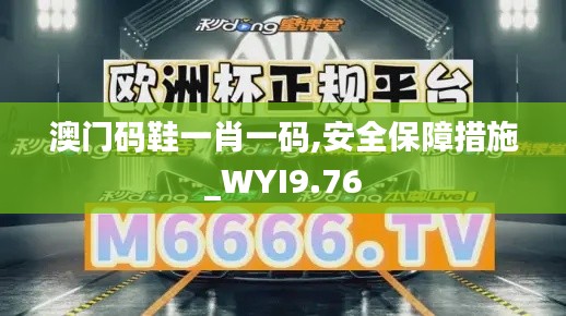 澳门码鞋一肖一码,安全保障措施_WYI9.76