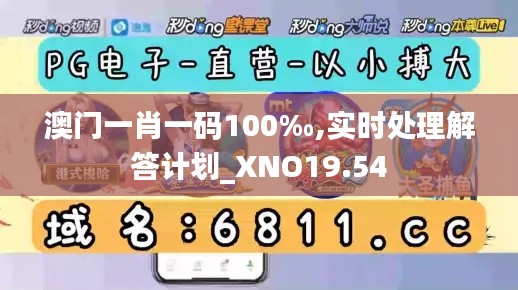 澳门一肖一码100‰,实时处理解答计划_XNO19.54