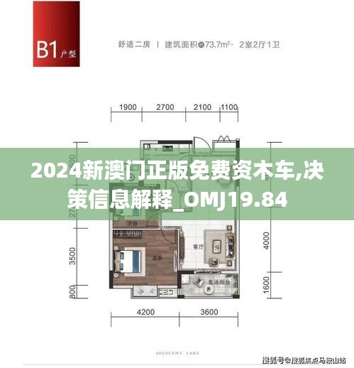 2024新澳门正版免费资木车,决策信息解释_OMJ19.84